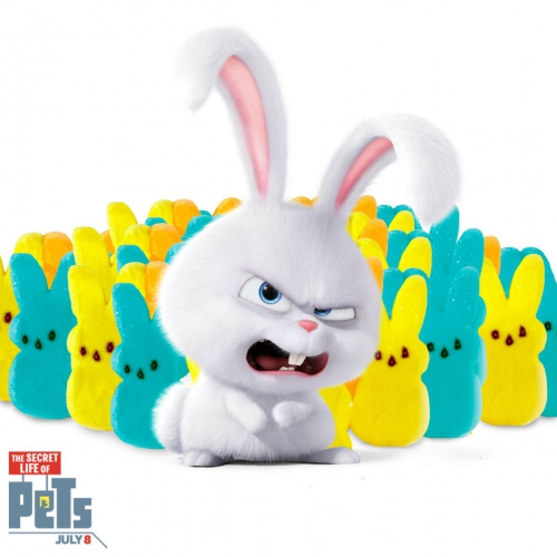 Кролик Снежок и его армия кроликов печенек
