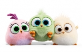 Angry Birds 2 в кино персонажи Зои Виви и Сэм-Сэм