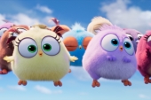 Angry Birds 2 в кино птенцы летят