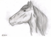 Лошадь)