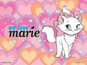 Красавица кошка Мари (Marie)
