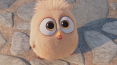 Angry Birds в кино большеглазый птенец