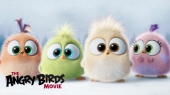 Angry Birds в кино милые птенцы