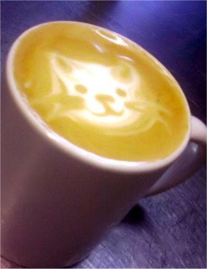 Кавайняшка: узоры в виде кошек на кофе