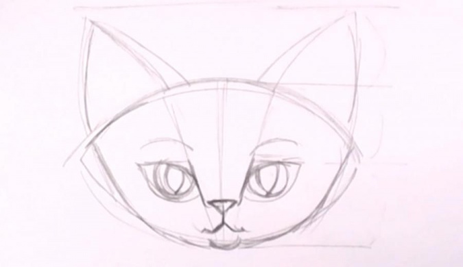 Пошаговый урок рисования кошки