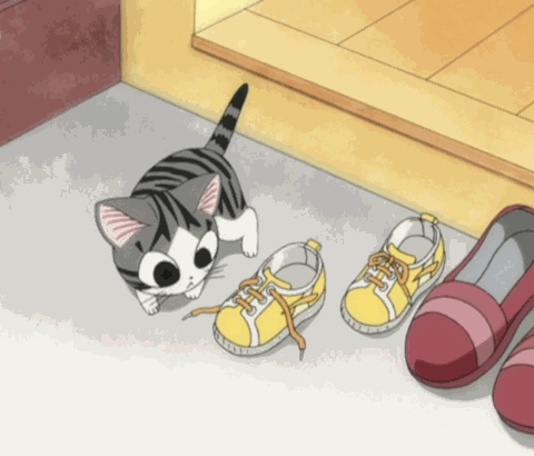 Кошечка Чии: Анимации