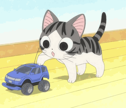 Кошечка Чии: Анимации