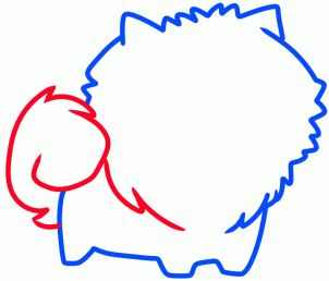 Рисуем щенка померанского шпица