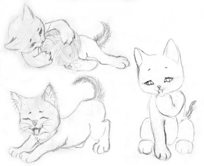 Урок рисования котенка