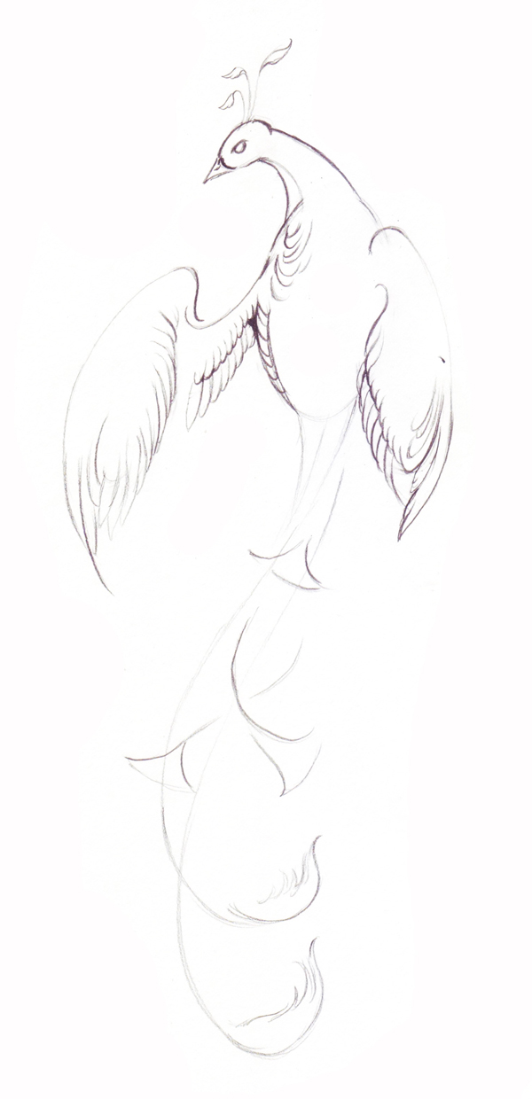 Как нарисовать волшебную птицу