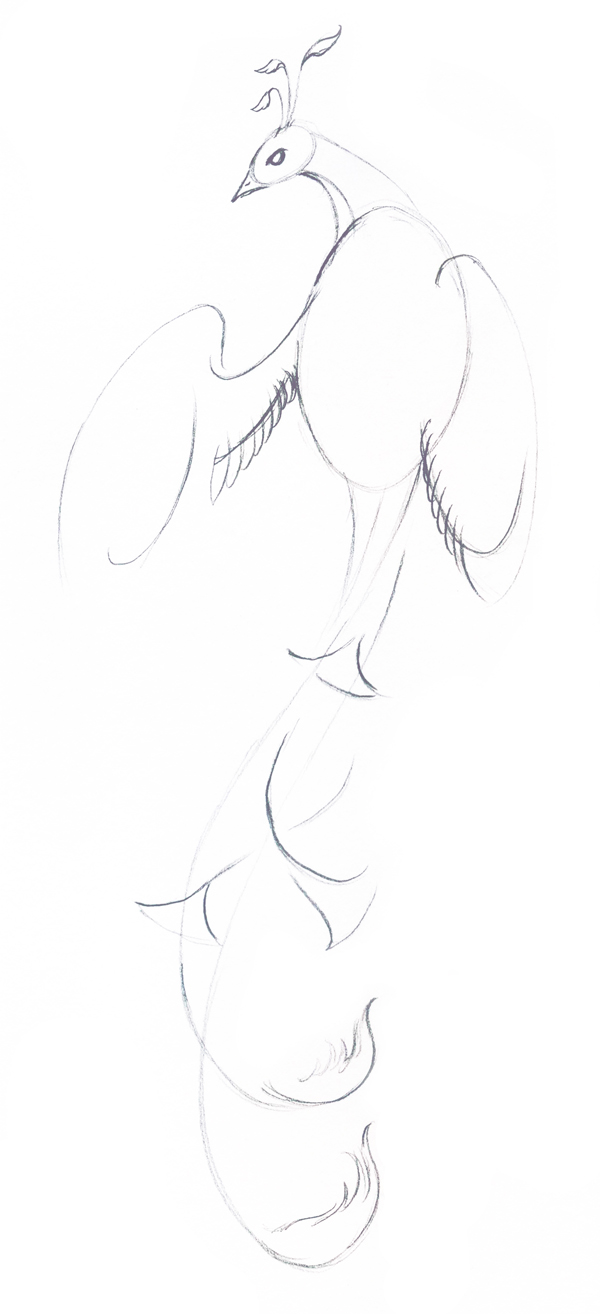 Как нарисовать волшебную птицу