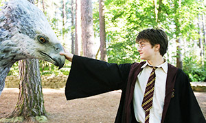Тест по Гарри Поттеру: Как хорошо ты знаешь животный мир волшебников