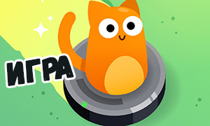 Игра: Кот и робот пылесос