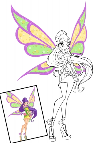 Тайн софикс 2