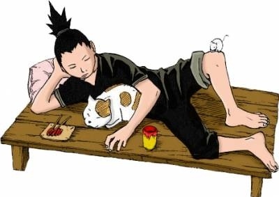 Шикамару с котом