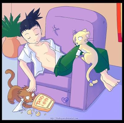 Шикамару и коты