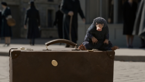 Фантастические твари 2 обои с Нюхлером