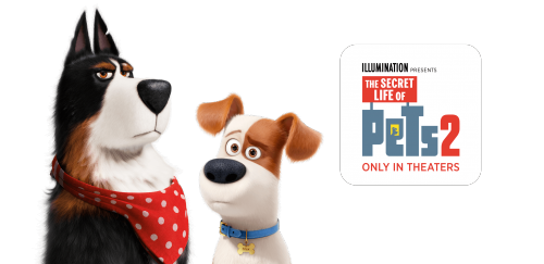 Тайная Жизнь Домашних Животных 2 городская и собака с фермы