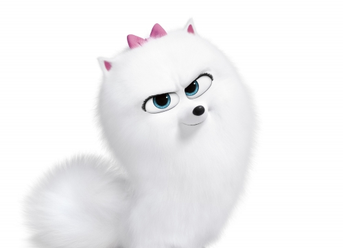 Уверенная в себе Гиджет