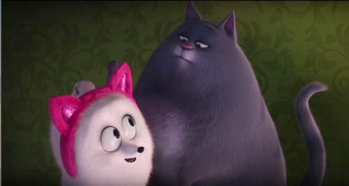 Гиджет пытается стать кошкой под надзором Хлои