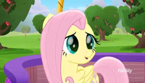 Флаттершай My Little Pony: Rainbow Roadtrip