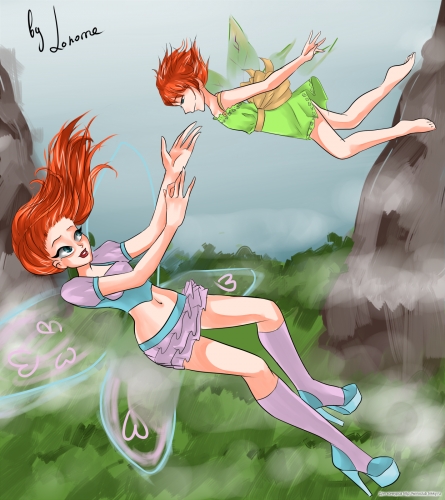 Первый полет