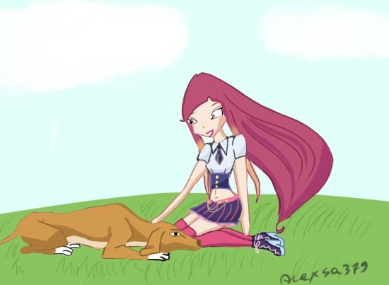 заказ Reganight