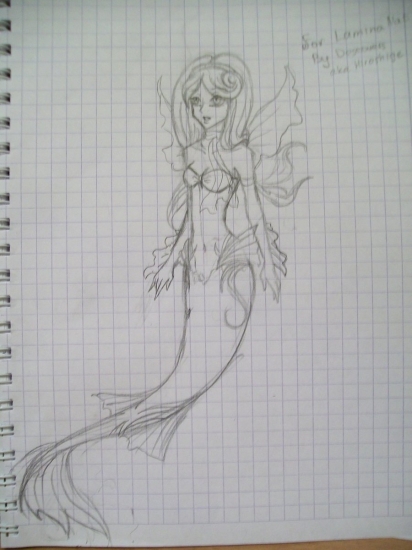 For Lamina