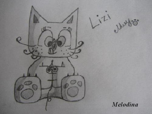Lizi