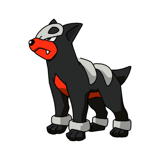 Картинка покемон Хаунтдоур / houndour