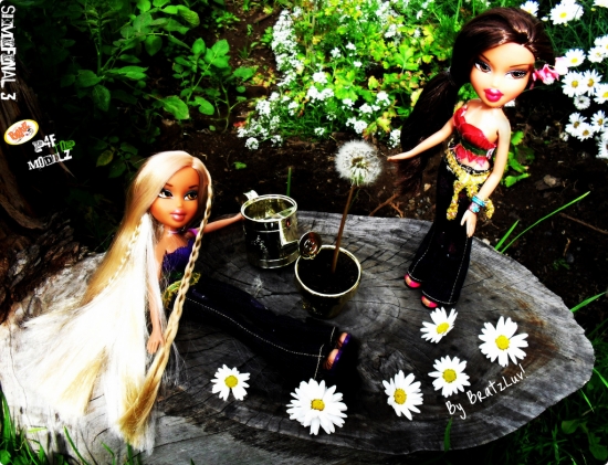 Братц цветочный стиль