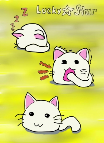 Коте