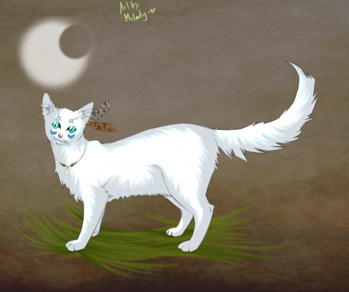 Half-Moon