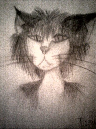 Черный Котенок