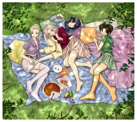 пикник у девушек
