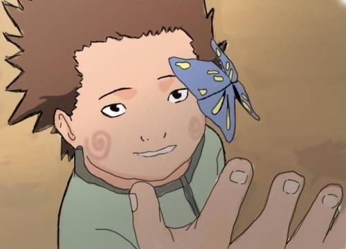 Чоджи и бабочка