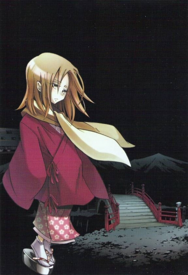 Шаманкинг, официальный арт