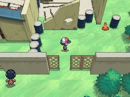 Pokemon Black & Pokemon White скриншот из игры