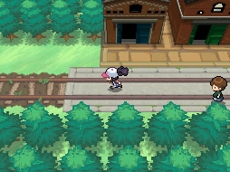 Pokemon Black & Pokemon White скриншот из игры
