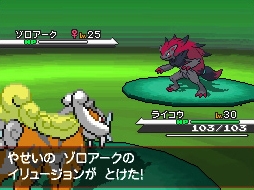 Pokemon Black & Pokemon White скриншот из игры, битва покемонов