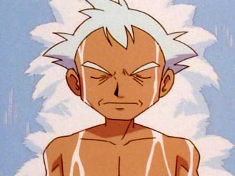 Покемон сезон 5, Master Quest