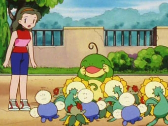 Покемон сезон 5, Master Quest