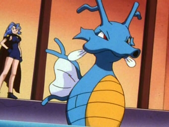 Покемон сезон 5, Master Quest