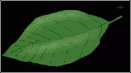 Анимашка Наруто: получилось