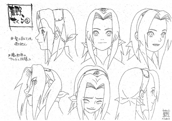 Сакура зрисовки головы