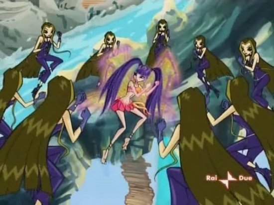 Муза и Дарси(много Дарси)