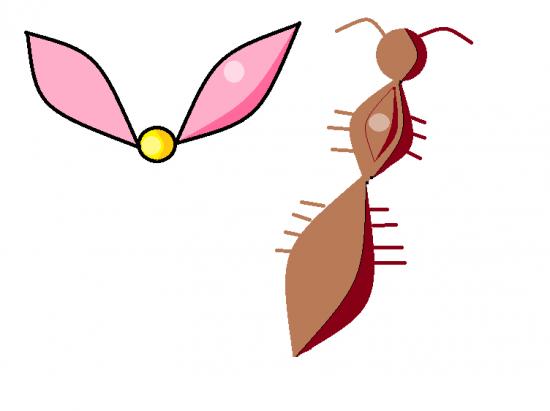 Общие проекты 21