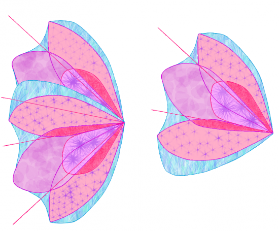 2 варианта крыльев