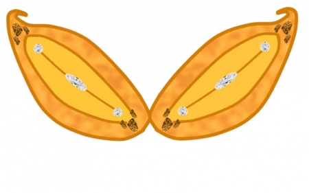 Мои самые первый крылья