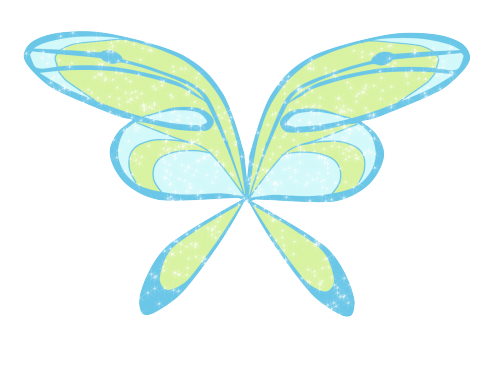 Крылья Блум